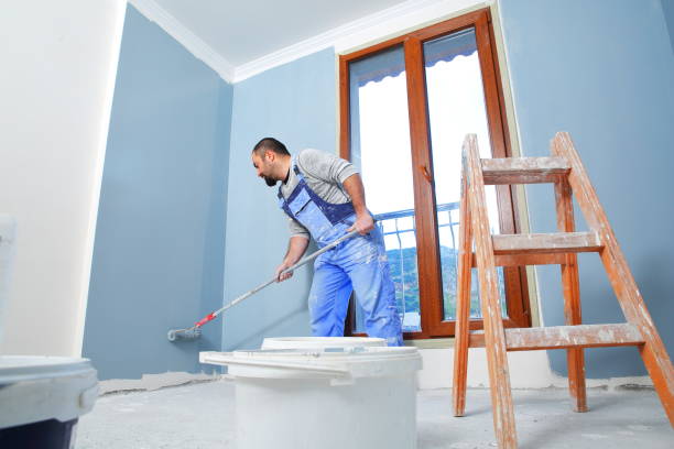 Best Post-Construction Mold Inspection  in Holualoa, HI