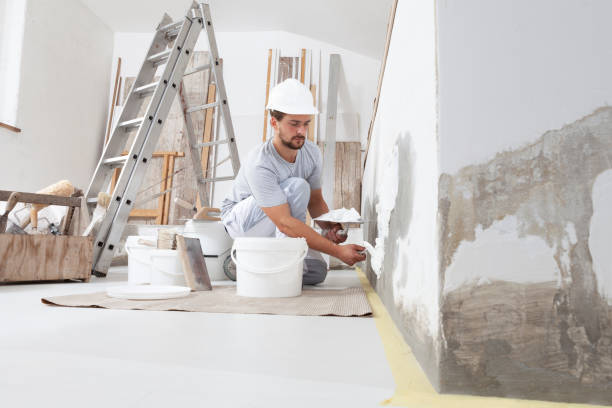 Best Water Damage & Mold Remediation  in Holualoa, HI