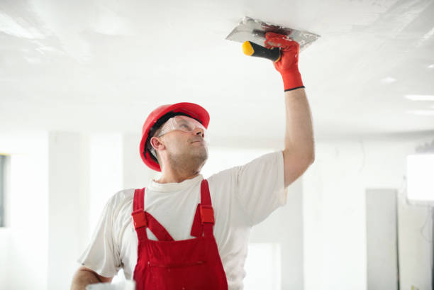 Best Crawl Space Mold Remediation  in Holualoa, HI