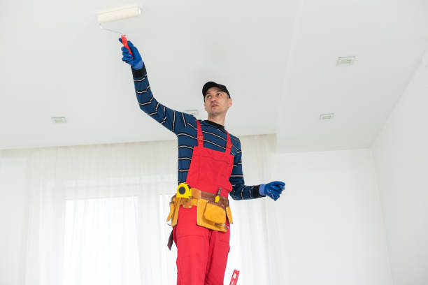 Best Basement Mold Removal  in Holualoa, HI